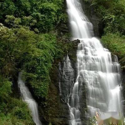 《大宅门》看懂白颖宇的所作所为，才懂二奶奶为何独给白颖宇面子